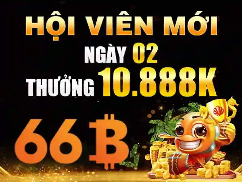 66b: khái niệm, kỹ thuật và ứng dụng