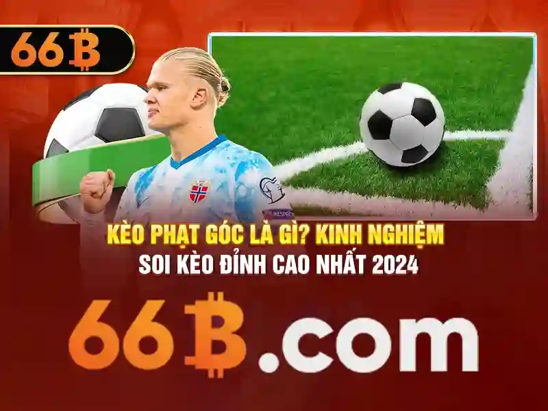 Ứng dụng thực tế của 66b