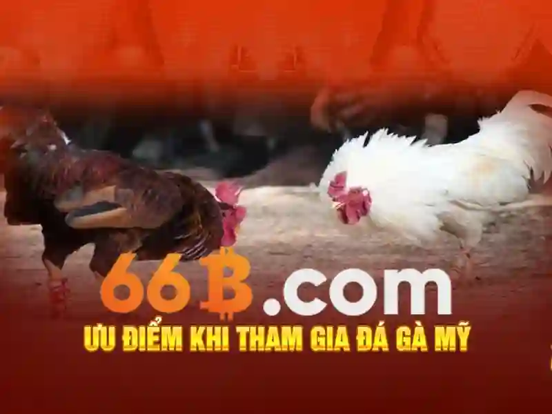 Ảnh hưởng và thách thức của 66b