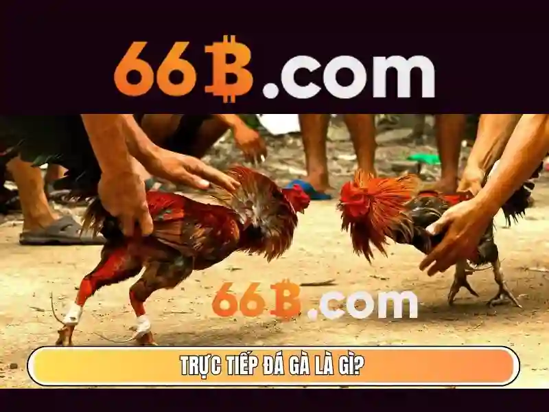 66b: Khái niệm và ứng dụng của mô hình ngôn ngữ 66 tỷ tham số