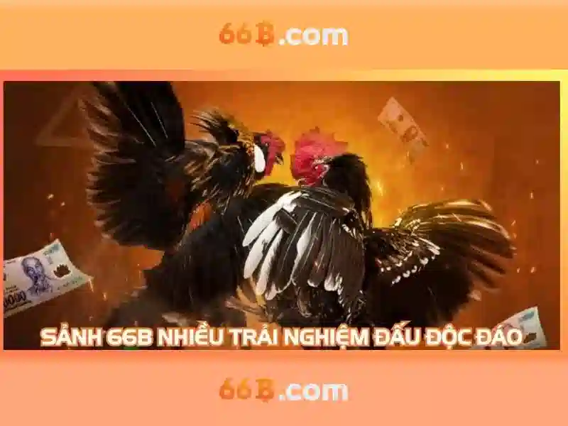 Hiệu suất và ứng dụng
