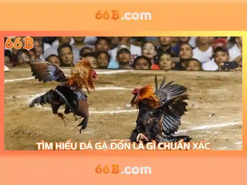 Khái niệm và tiềm năng của mô hình 66B