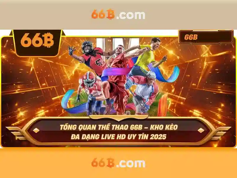 66b: một cái nhìn tổng quan về công nghệ 66b