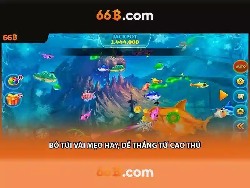 Tương lai của 66b và định hướng phát triển