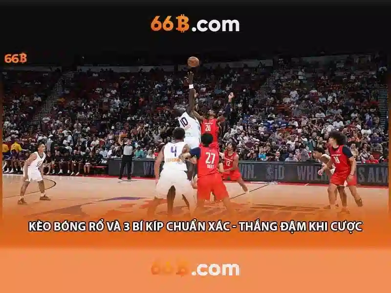 Khái niệm cơ bản về 66b