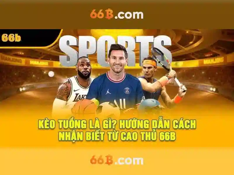 Khái niệm cơ bản về 66B