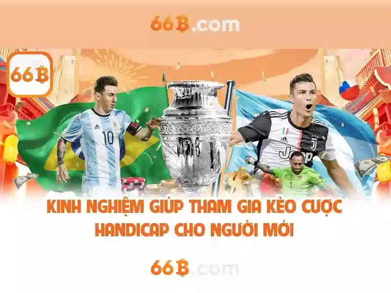 66B là gì?