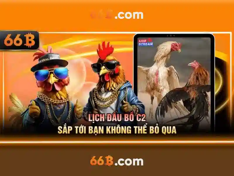 Ứng dụng tiềm năng của 66B
