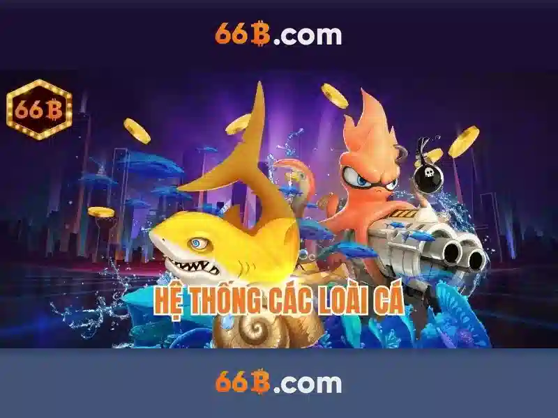 66b: một khái niệm và cách hiểu