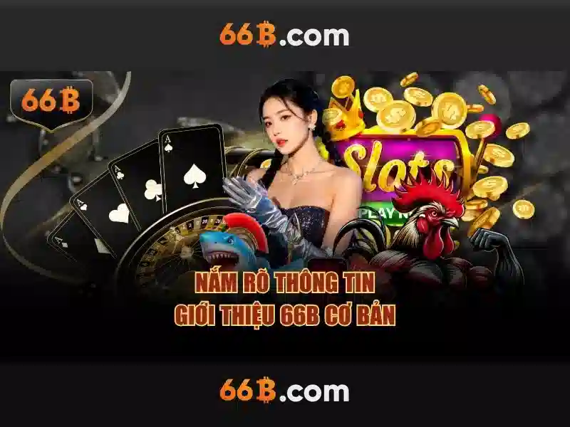 Giới thiệu về 66b