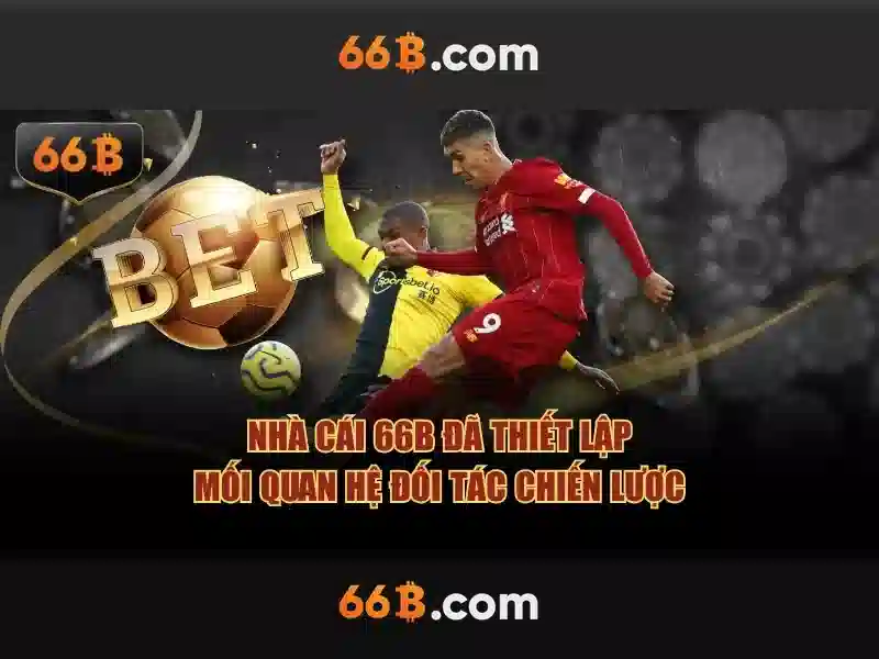 Định nghĩa và phạm vi của 66B
