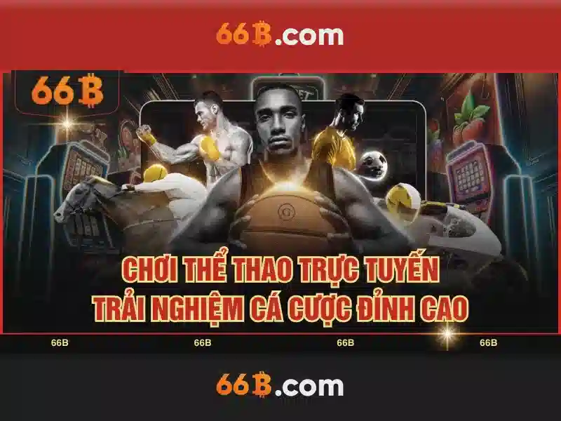 66b là gì?