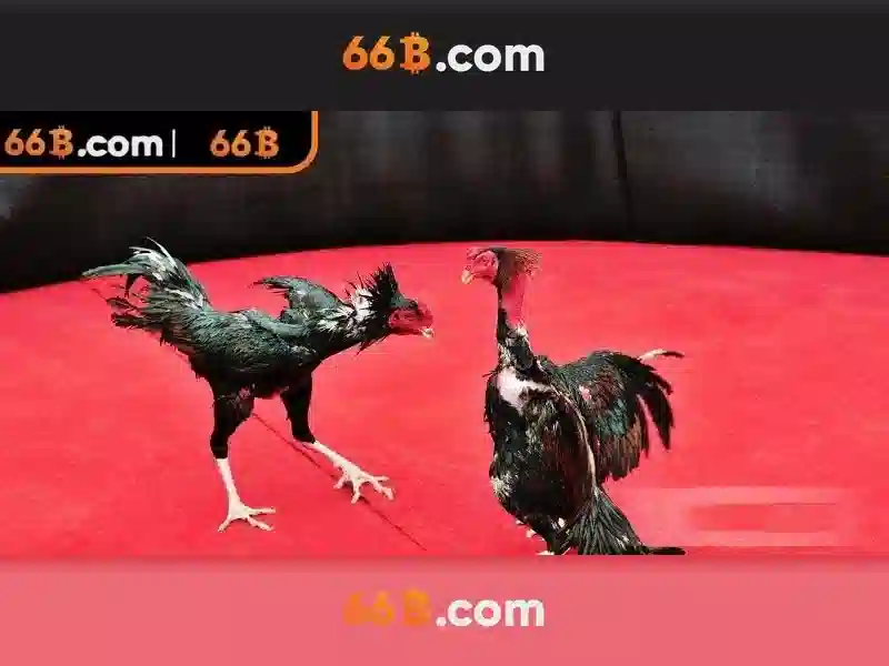 66b: Khám phá một khái niệm công nghệ đầy hứa hẹn