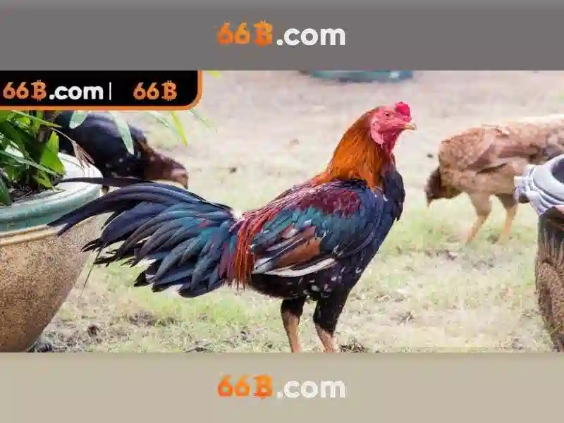 66b: mô hình ngôn ngữ quy mô lớn 66 tỷ tham số