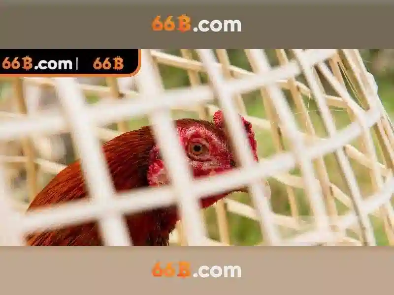 Kiến trúc và tham số của 66B