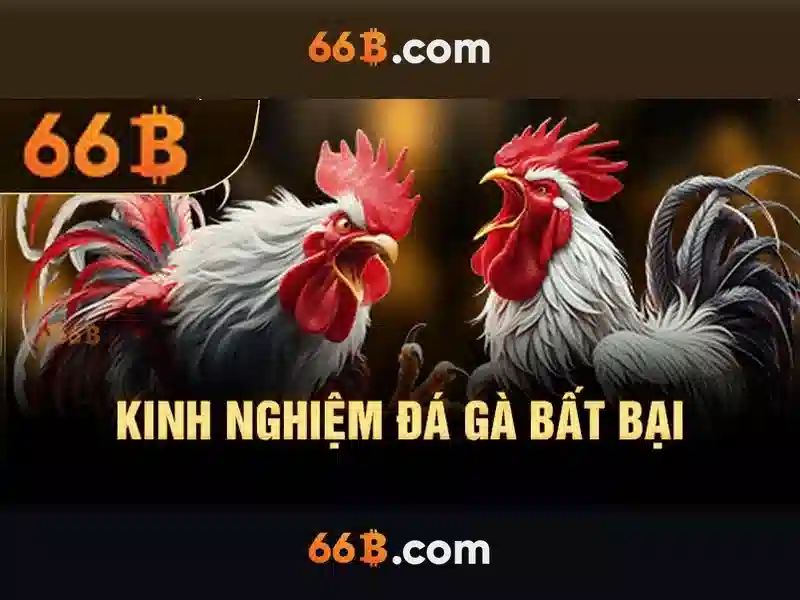 Kỹ thuật và tham số của 66B