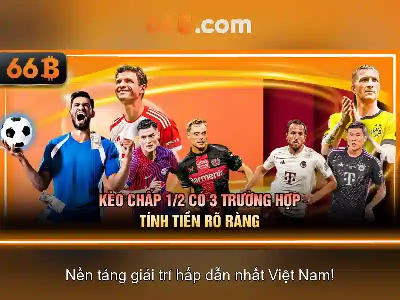 Giới thiệu về 66b
