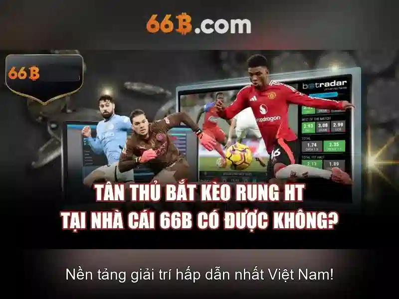 66b: Khám phá khái niệm và ứng dụng