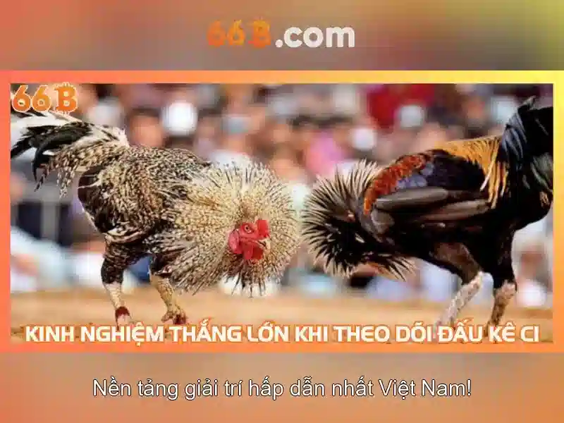 66B và vai trò của nó trong AI hiện đại