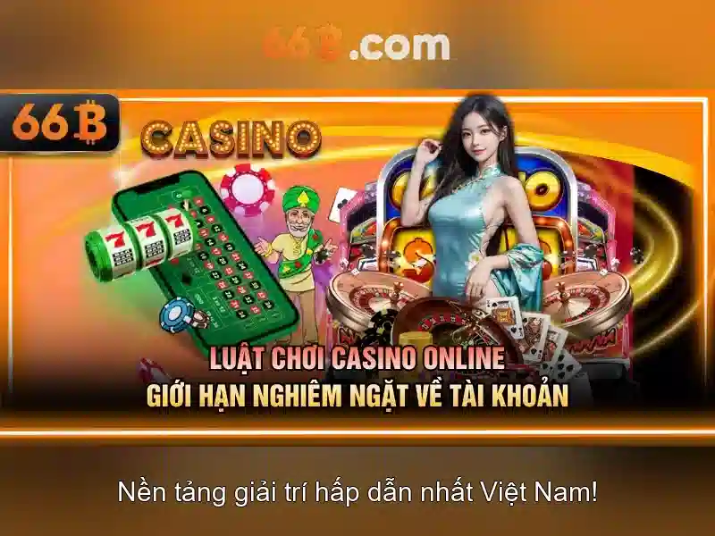 66B là gì