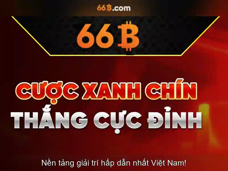66B là gì?