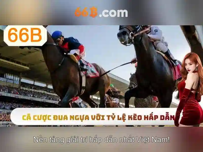 66b: Khía cạnh và ứng dụng