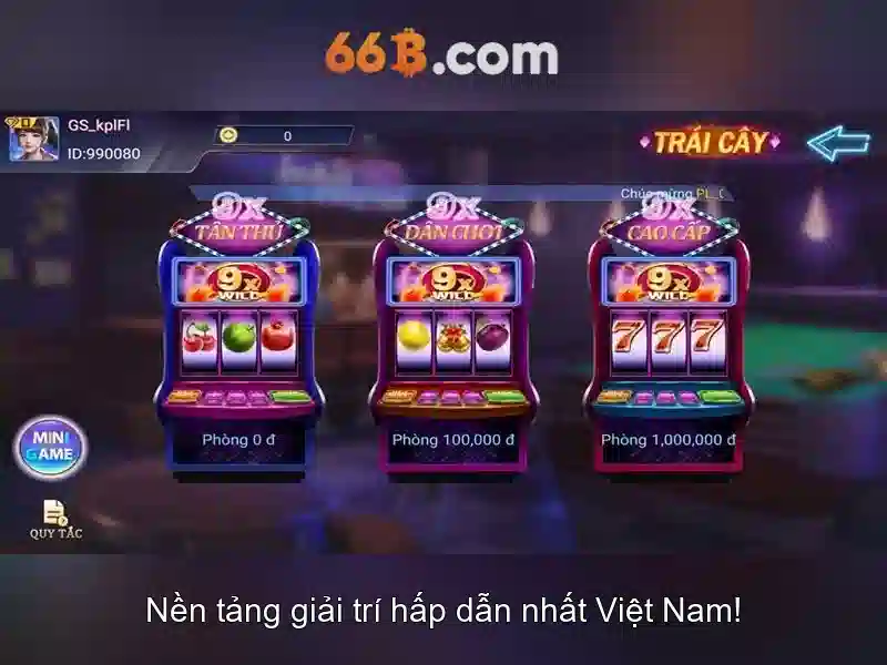 66B là gì