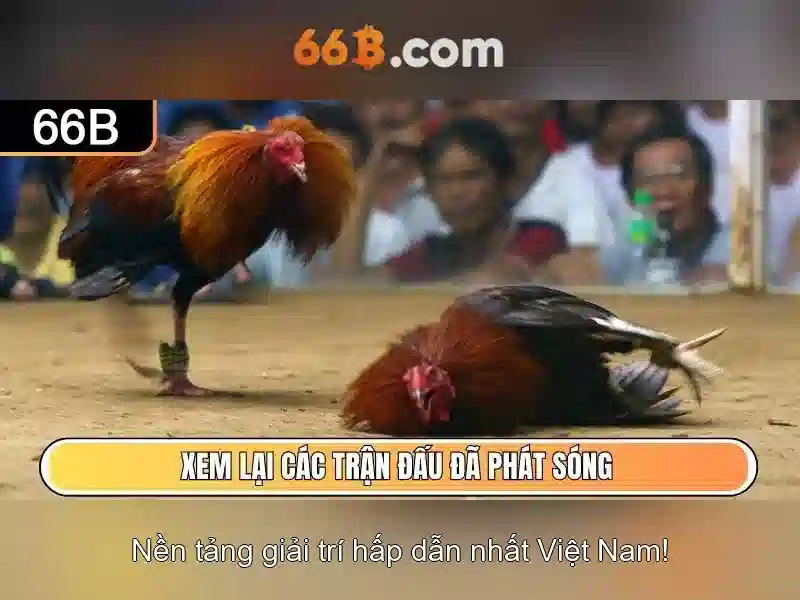 66B: Khái niệm, kiến trúc và triển khai