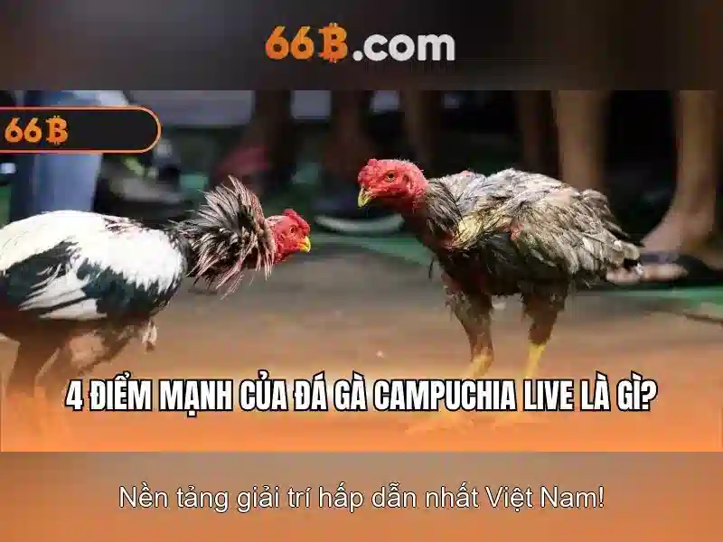 66B: Kích thước tham số và ảnh hưởng của nó trong mô hình ngôn ngữ