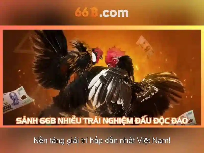 Nguyên tắc hoạt động của 66b
