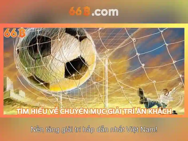 Hiệu suất và ứng dụng