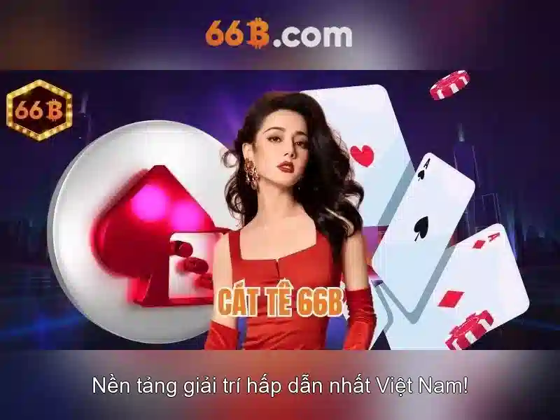 66B là gì?