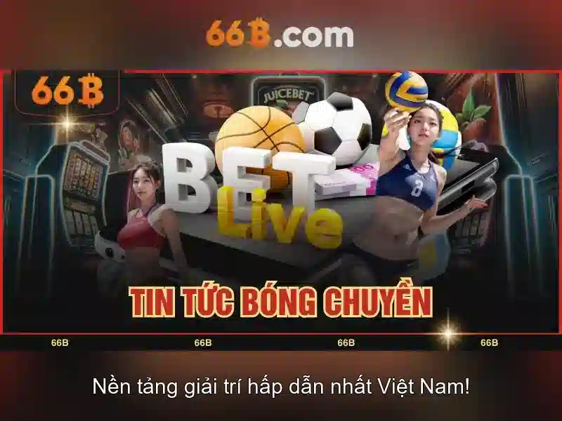 66b: Khái niệm, nguồn gốc và ứng dụng