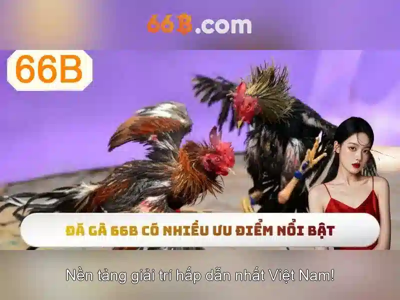 Tiêu chuẩn đạo đức và chia sẻ kiến thức