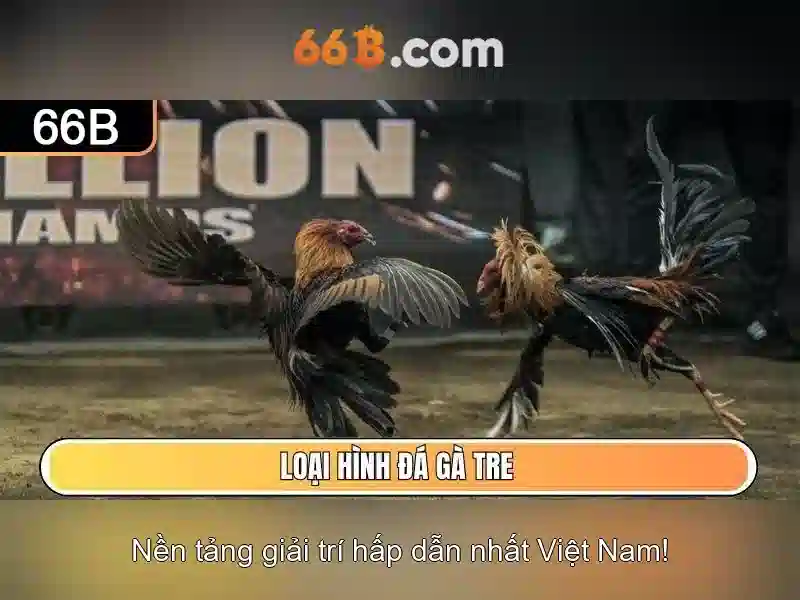 Khái niệm về mô hình 66B