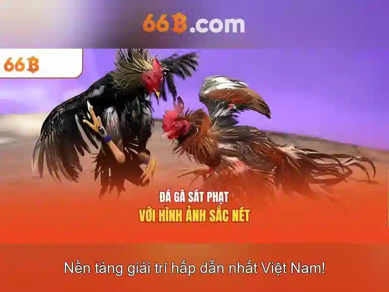 66B: Khai phá một mô hình ngôn ngữ lớn 66B