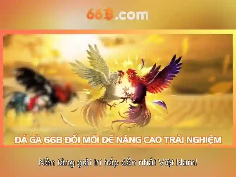 66b là gì?