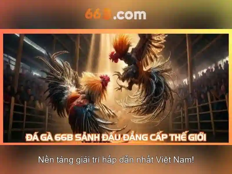 66b: Khám phá một khái niệm công nghệ đầy hứa hẹn