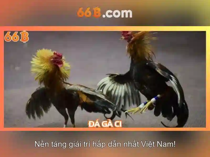 66b: Khám phá và ứng dụng