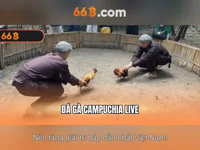 Ứng dụng và hạn chế
