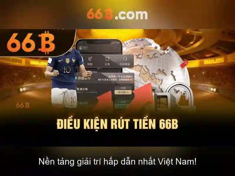 66b: khái niệm và vai trò