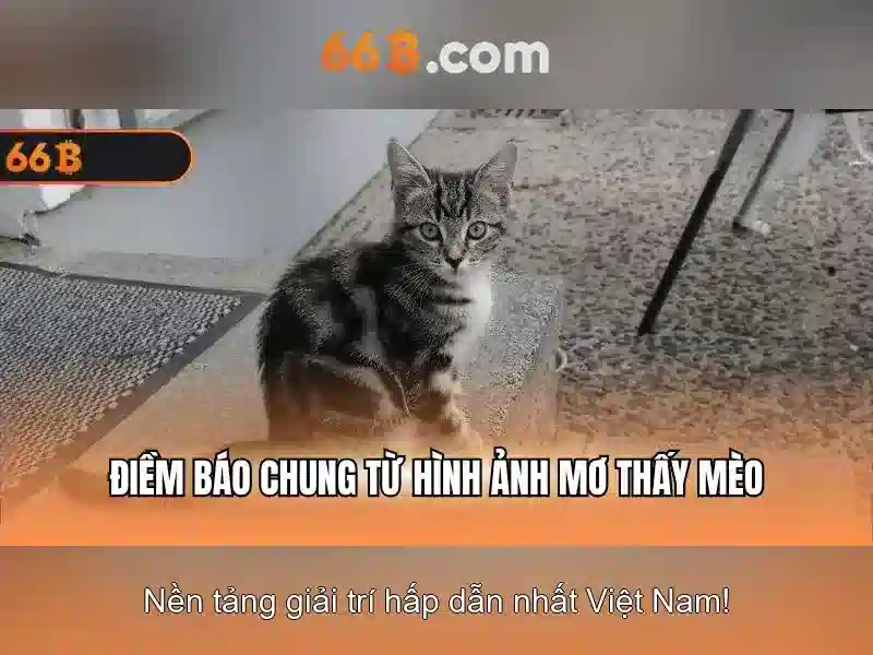Ví dụ và ngữ cảnh phổ biến