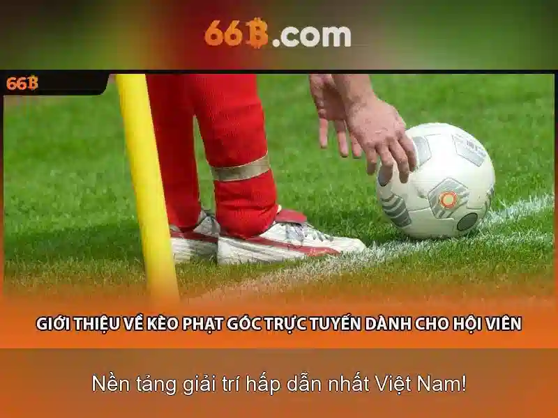 66B: Khai phóng sức mạnh của mô hình ngôn ngữ lớn