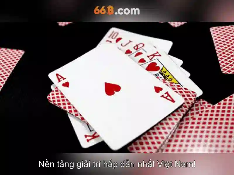 66B là gì và tại sao quan trọng