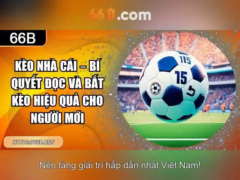 Ứng dụng và thách thức
