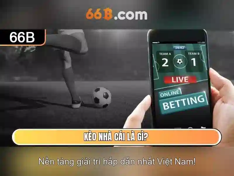 66b là gì và những điều cần biết