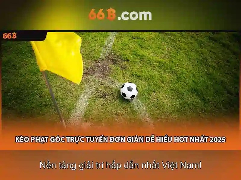 66B: Đánh giá tổng quan về mô hình ngôn ngữ 66B và tác động của nó