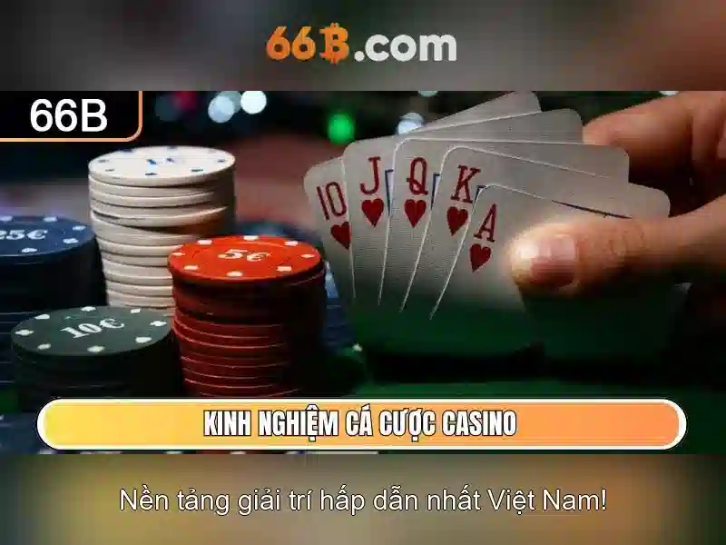 Kích thước và kiến trúc