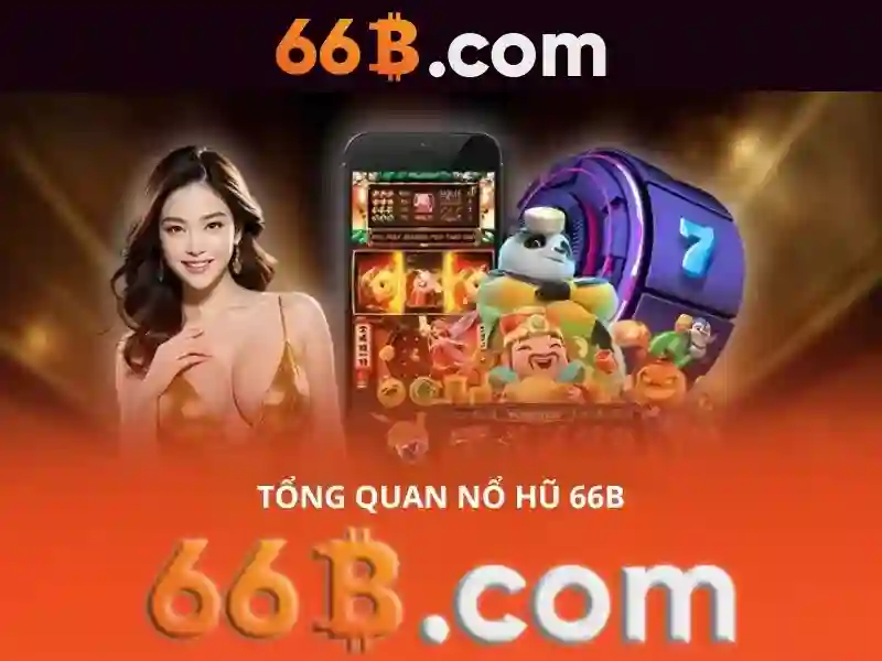 66B là gì