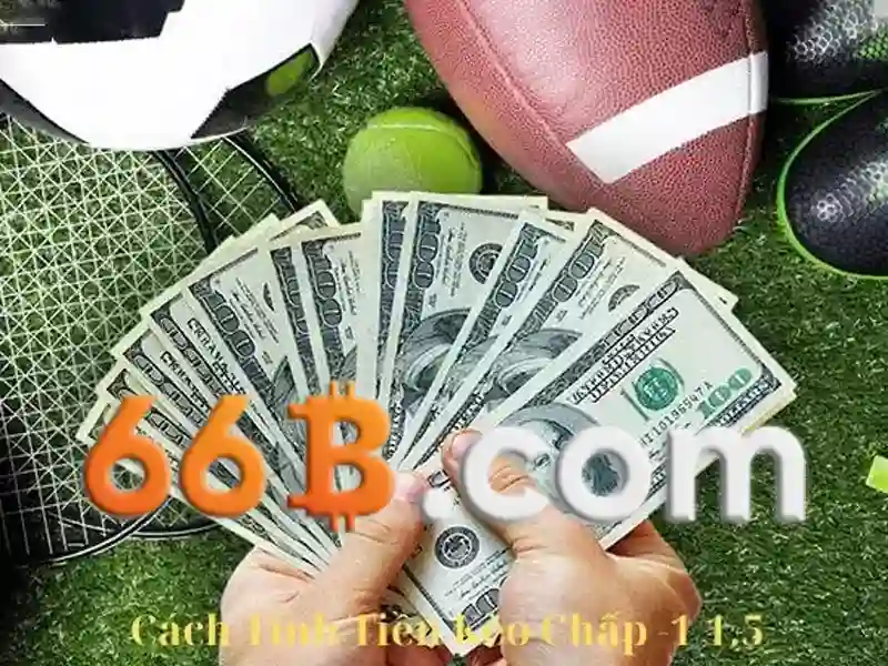 66B: Mô hình ngôn ngữ lớn và những tiềm năng